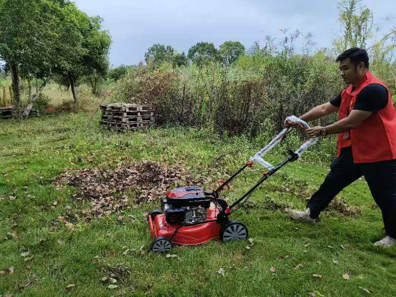 澳门十大靠谱的网站