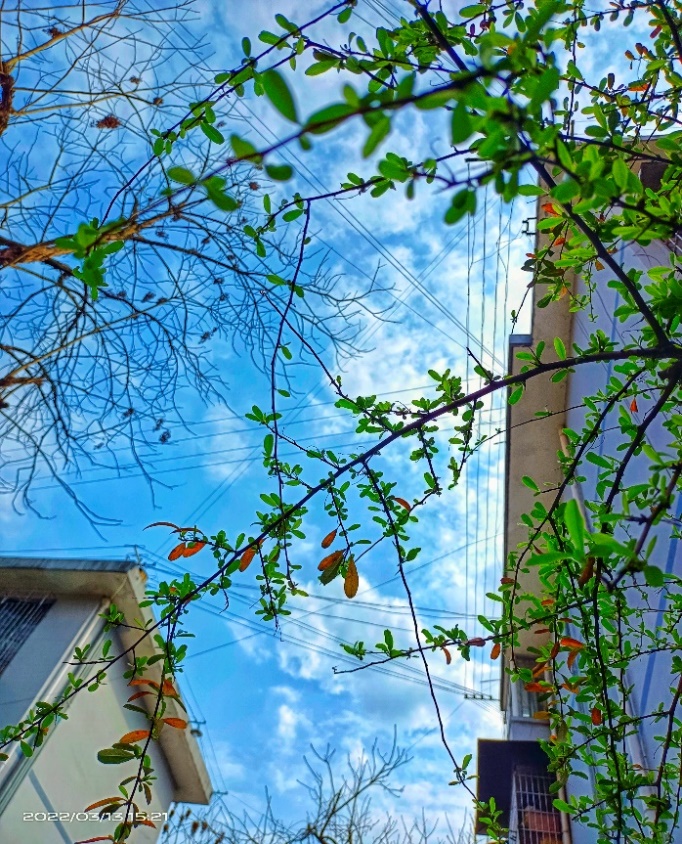 澳门十大靠谱的网站