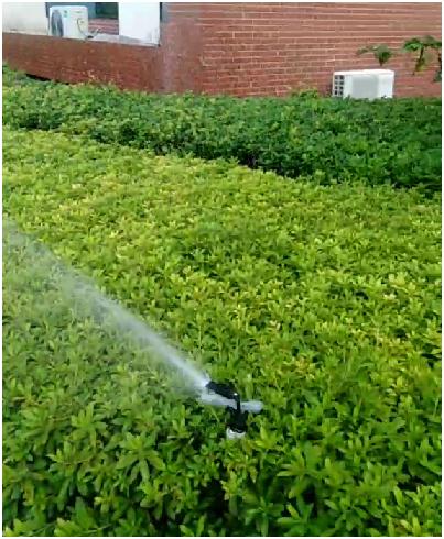 澳门十大靠谱的网站