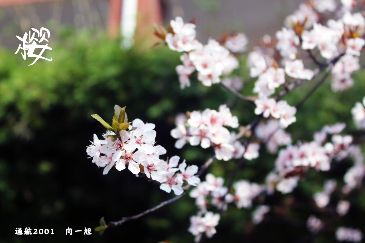 澳门十大靠谱的网站