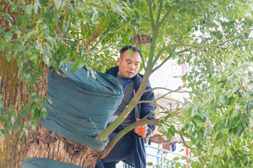澳门十大靠谱的网站