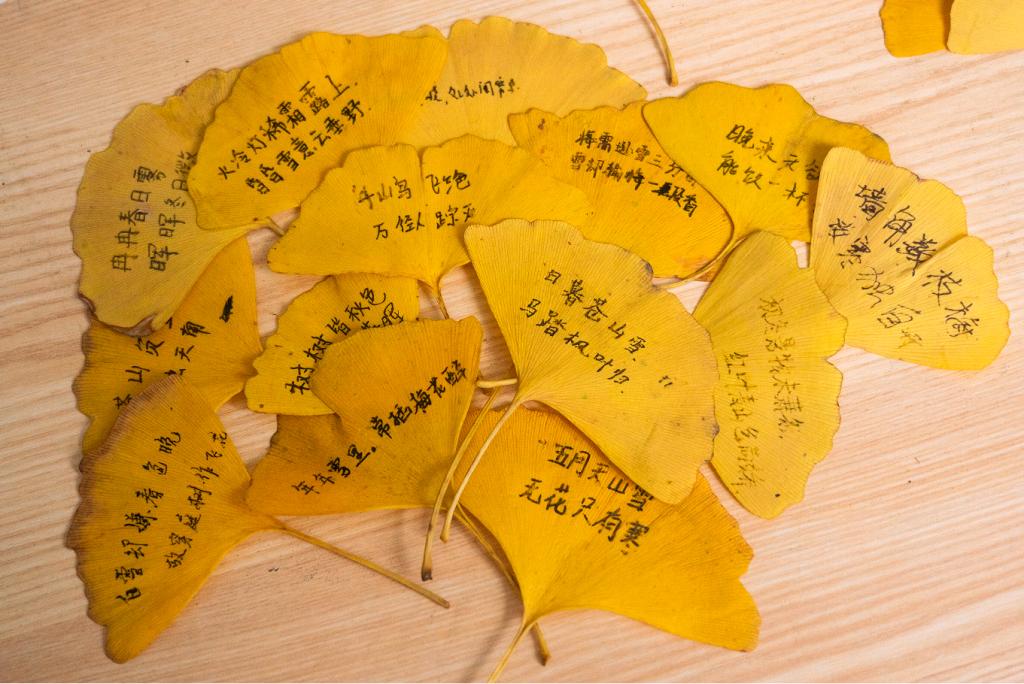 澳门十大靠谱的网站