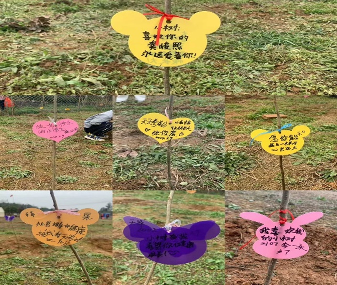 澳门十大靠谱的网站