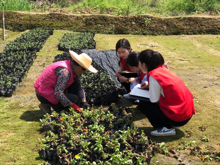 澳门十大靠谱的网站