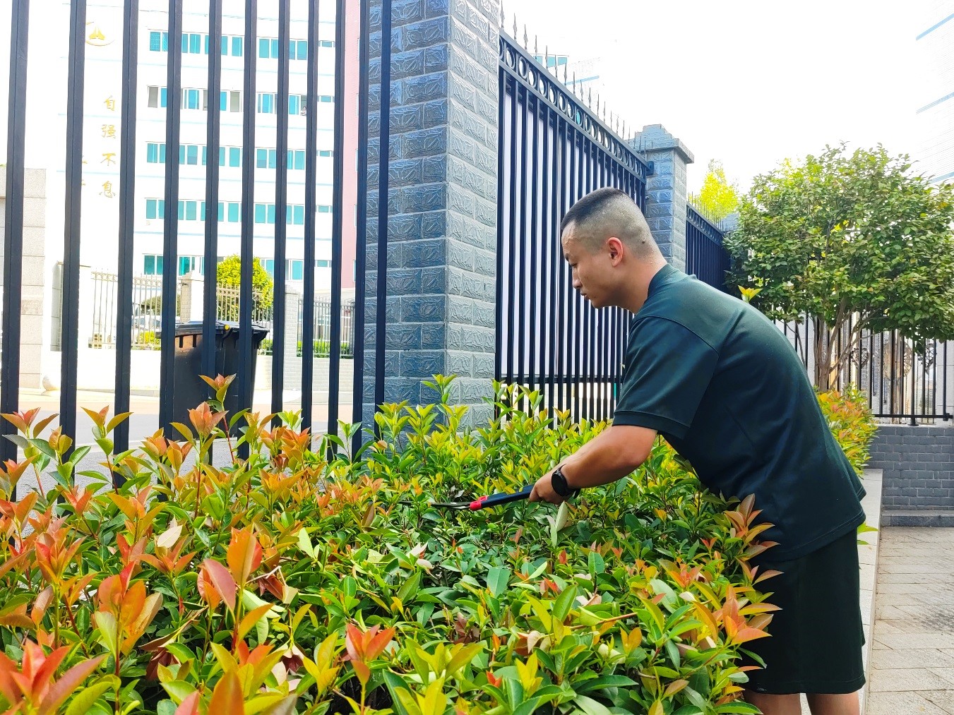 澳门十大靠谱的网站