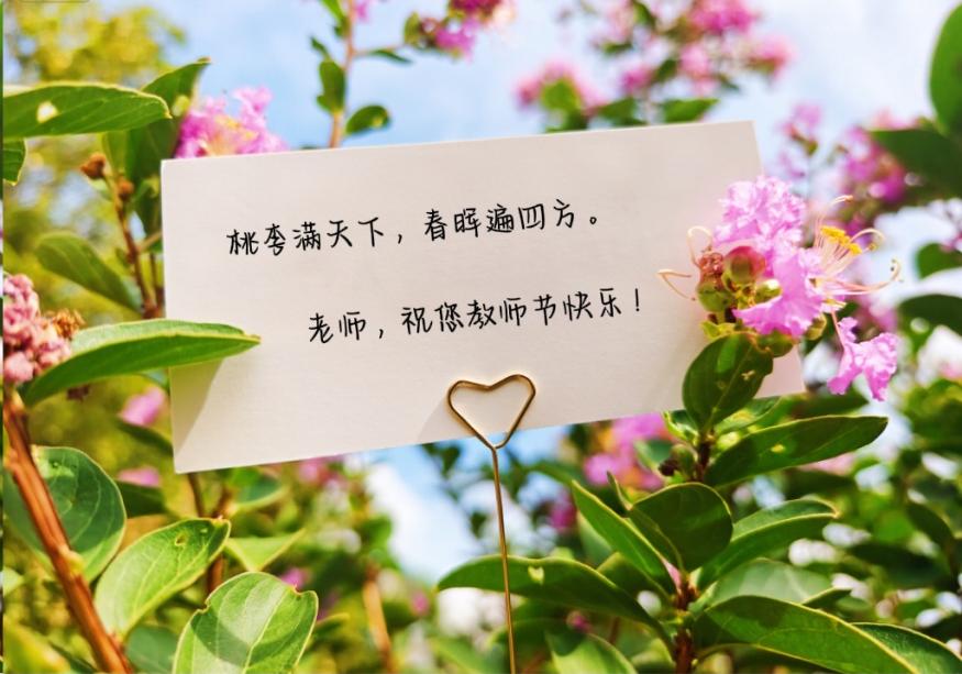 澳门十大靠谱的网站