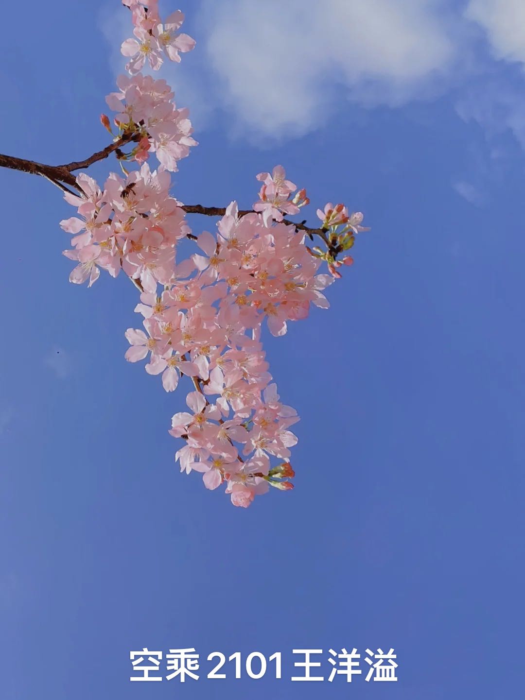 澳门十大靠谱的网站