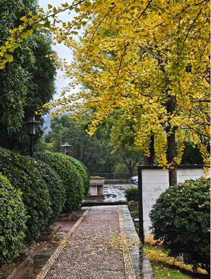 澳门十大靠谱的网站