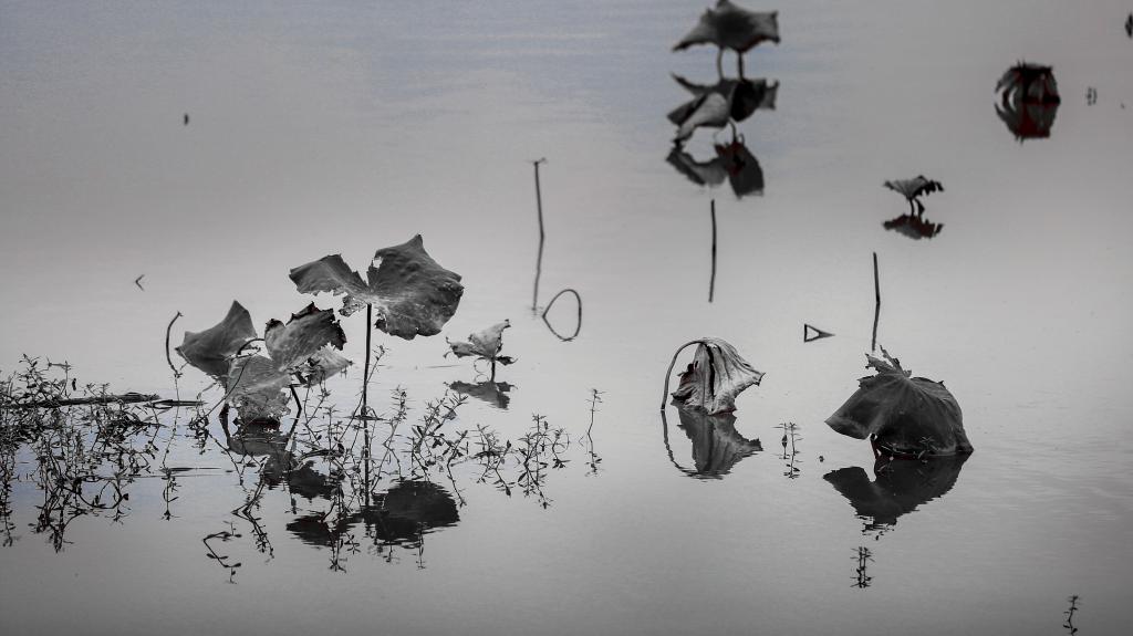 澳门十大靠谱的网站