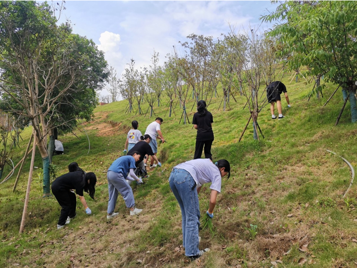澳门十大靠谱的网站
