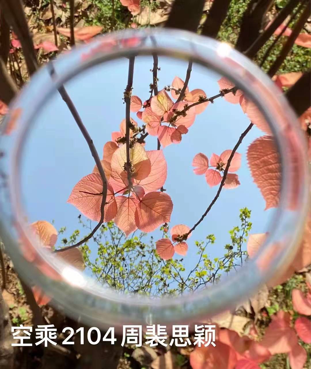 澳门十大靠谱的网站