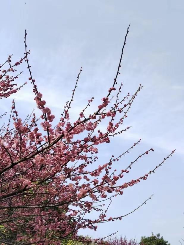 澳门十大靠谱的网站