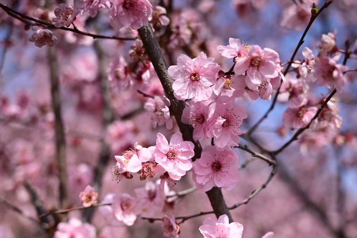 澳门十大靠谱的网站