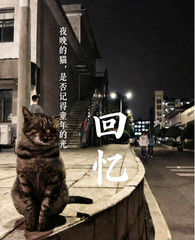 澳门十大靠谱的网站