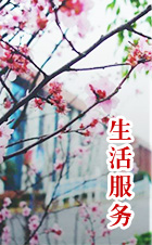 澳门十大靠谱的网站