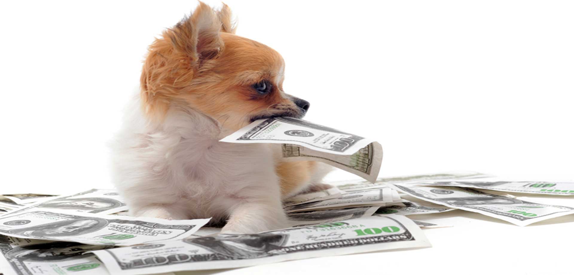 15/05/  De plus, ils vous aideront également à obtenir de l’argent PayPal gratuit en vous livrant à des achats en ligne – ce qui est probable; vous aimez faire de toute façon.Cela signifie que vous obtiendrez un pourcentage de votre achat – selon le magasin dans lequel vous achetez.