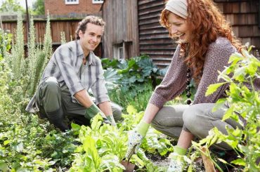 gagner de l'argent avec votre jardin